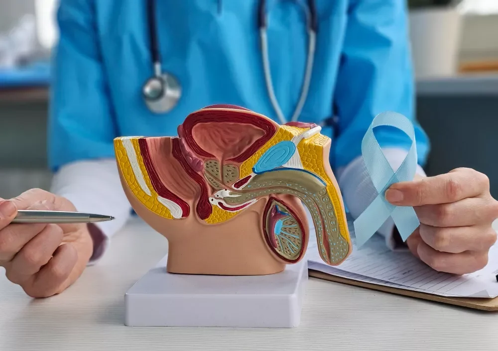 Additional Urology Expertise
